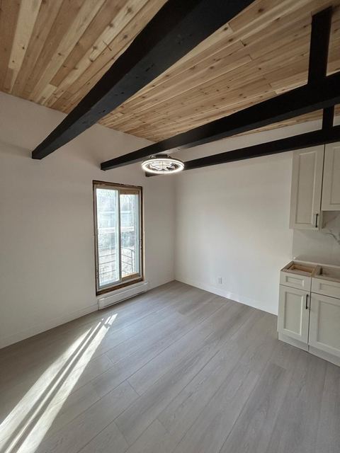 1616-1626 rue Alexandre-Desève, H2L 2V7 — photo 4