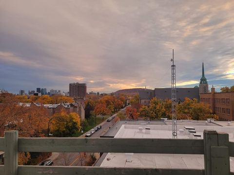 2495 rue Rachel est, H2H 1R9 — photo 4