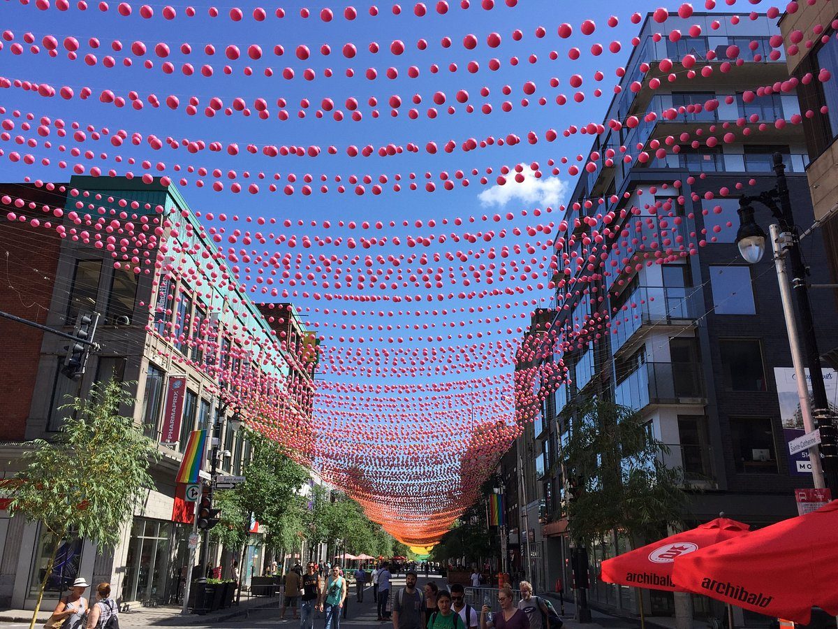 Le quartier — 931-941 rue Robin, H2L 1V7